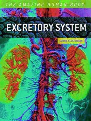 cover image of Excretory System